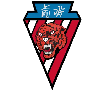 A-10A 79-0181 crashed on landing after battle damage